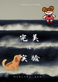 完美实名认证全过程