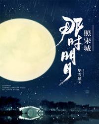 那年明月照宋城小说